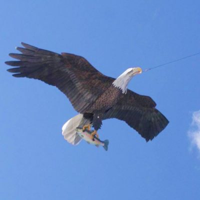 Eagle Kite - Bird Scarer