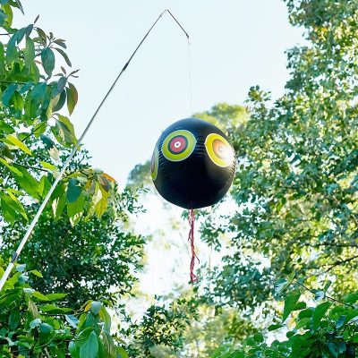 Scary Eye Balloon