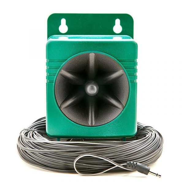 Single Speaker - Image 5