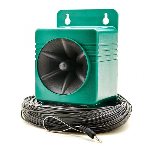 Single Speaker - Image 6