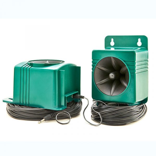 Single Speaker - Image 7