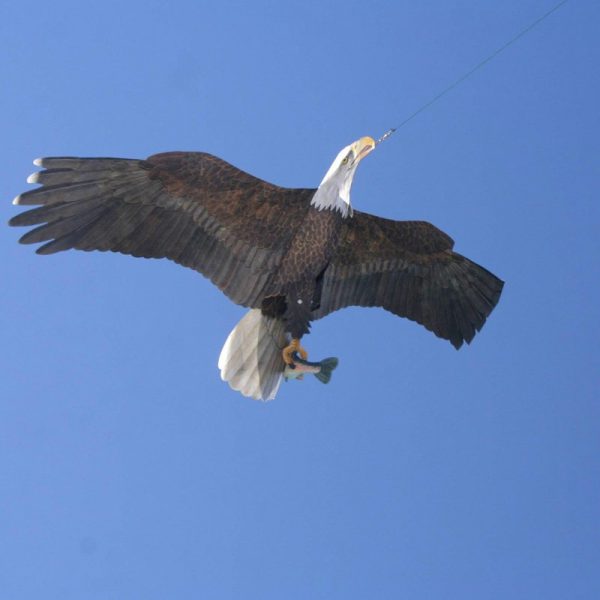Eagle Kite - Bird Scarer - Image 4