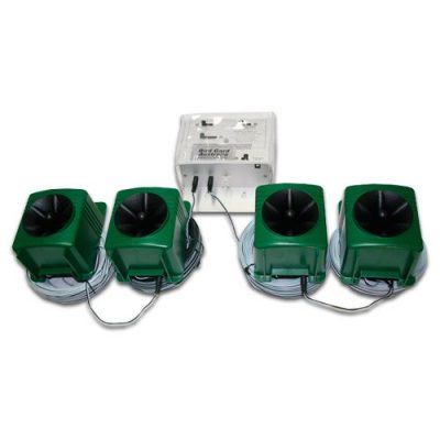 Silver-Eyes and Bat (Wax-eyes) Scarer