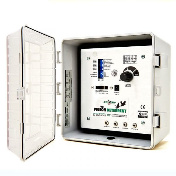 Pigeon Deterrent - Image 5