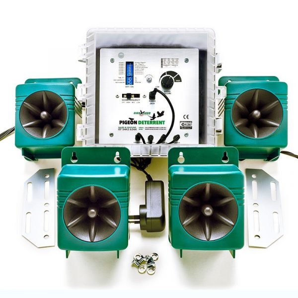 Pigeon Deterrent - Image 2