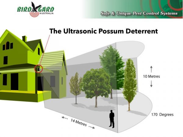 Possum Deterrent - Image 6